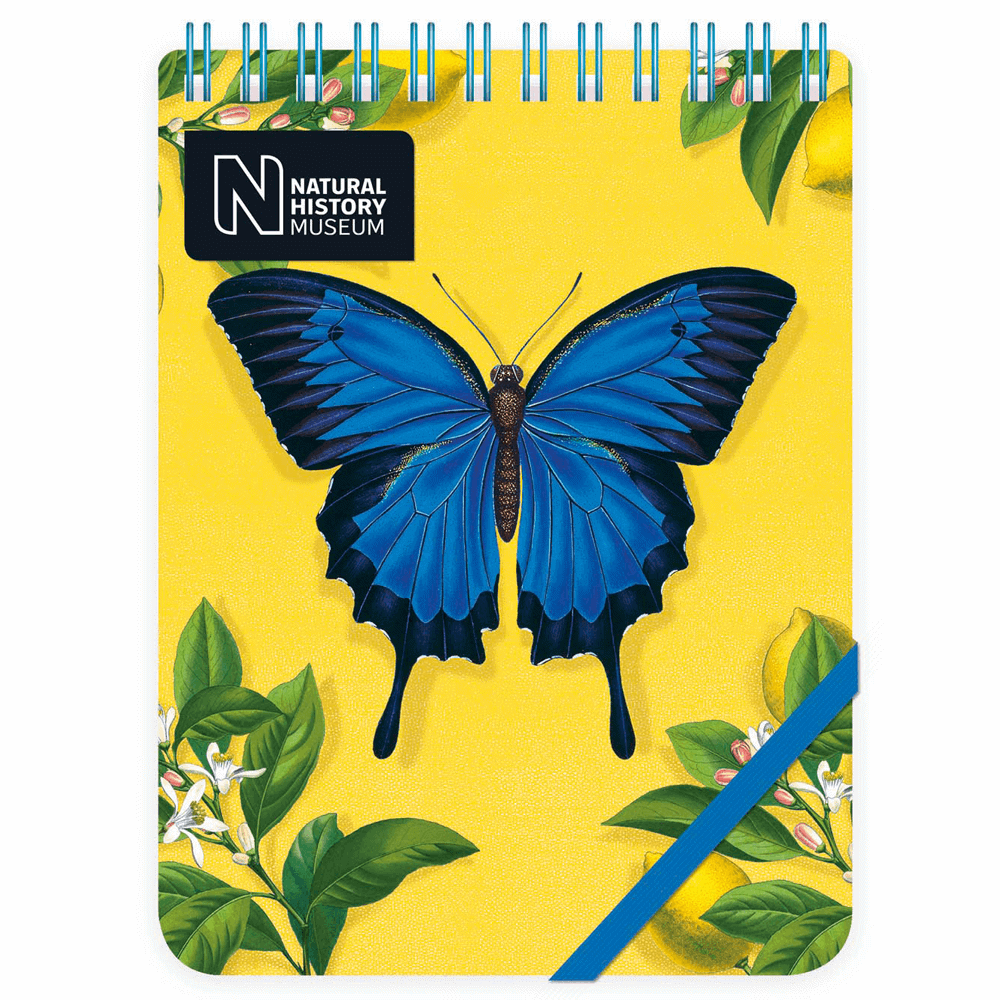 Natural History Museum Ulysses Butterfly Wirebound Reporter Pad
